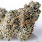Zkittlez Strain - MDLG Seeds