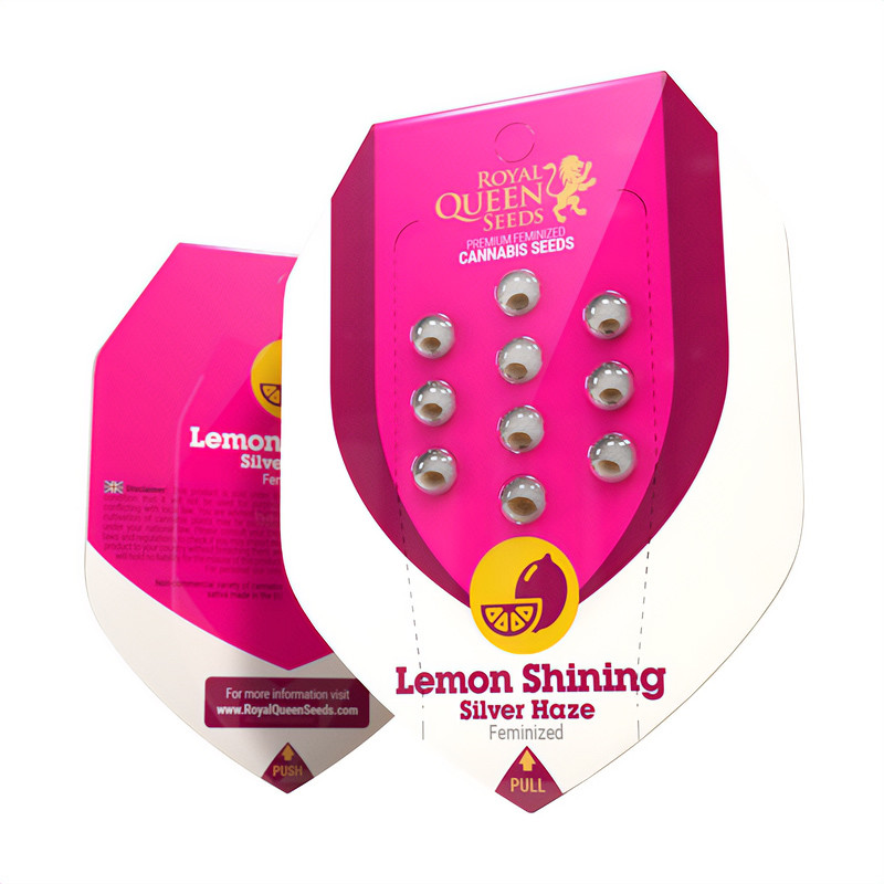 Lemon Shining Silver Haze - Royal Queen Seeds Lemon Shining Silver Haze - Royal Queen Seeds
