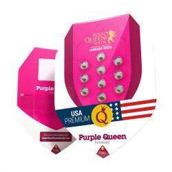 Paquet de graines Purple Queen de Royal Queen Seeds