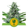 Royal Critical Automatic Strain - Royal Queen Seeds