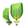 Royal Jack Automatic Strain - Royal Queen Seeds