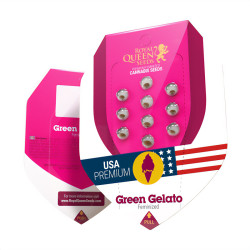 Graines de Green Gelato de Royal Queen Seeds
