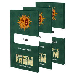 Lot de graines LSD de Barney's Farm