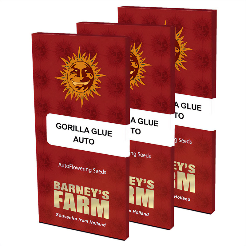 Gorilla Glue Auto - Barney's Farm Gorilla Glue Auto - Barney's Farm