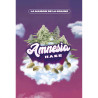 Amnesia Haze Strain - MDLG Seeds