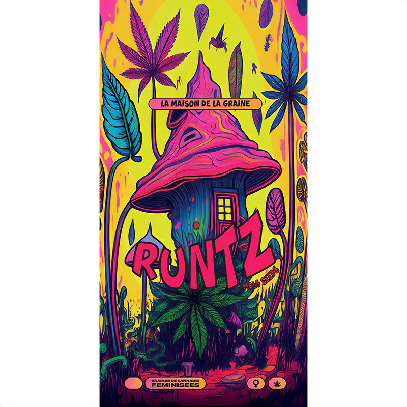 Runtz Strain - MDLG Seeds Runtz Strain - MDLG Seeds