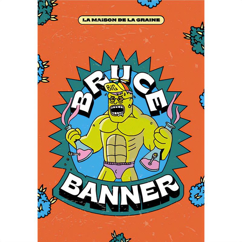 Bruce Banner XXL Auto Strain - MDLG Seeds Bruce Banner XXL Auto Strain - MDLG Seeds