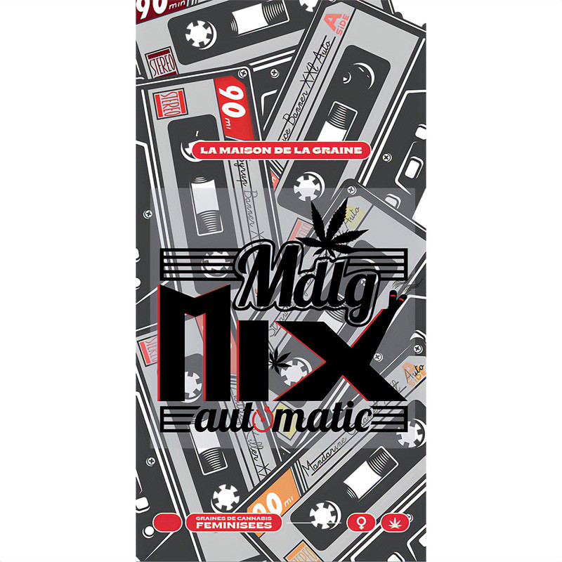 Mix Pack Automatic - MDLG Seeds Mix Pack Automatic - MDLG Seeds