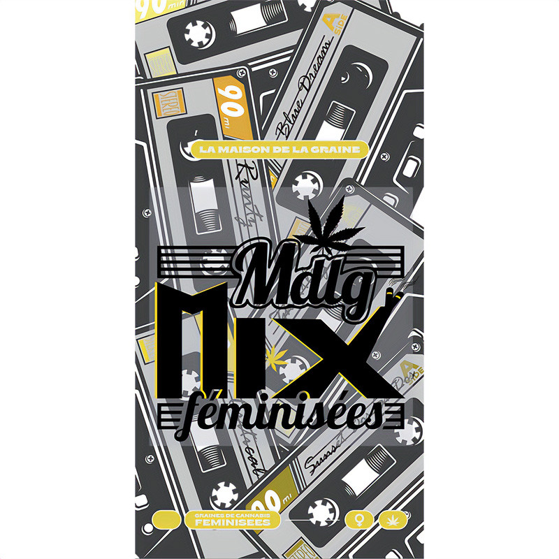 Mix Pack Féminisées - MDLG Seeds Mix Pack Féminisées - MDLG Seeds