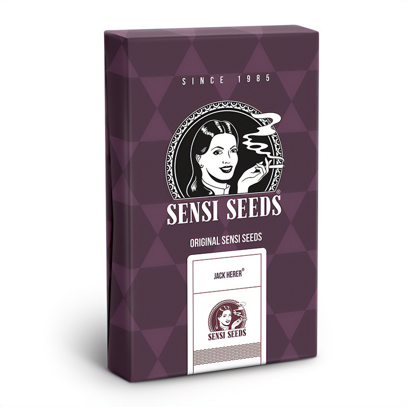 Jack Herer - Sensi Seeds Jack Herer - Sensi Seeds