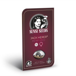 Lot de graines Jack Herer de Sensi Seeds