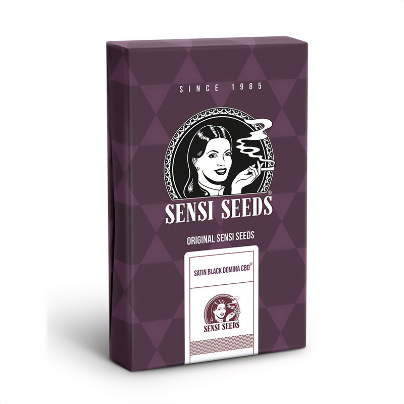 Satin Black Domina CBD - Sensi Seeds Satin Black Domina CBD - Sensi Seeds