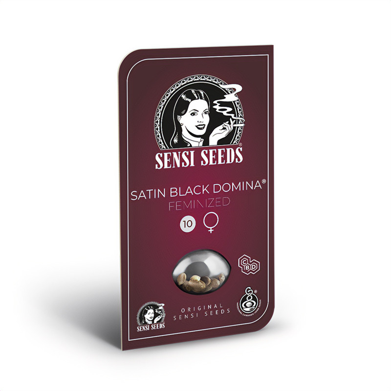 Satin Black Domina CBD - Sensi Seeds Satin Black Domina CBD - Sensi Seeds