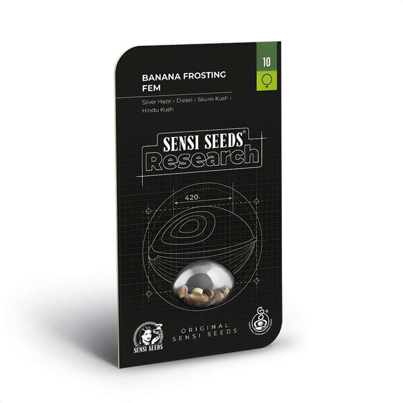 Banana Frosting Strain - Sensi Seeds Banana Frosting Strain - Sensi Seeds
