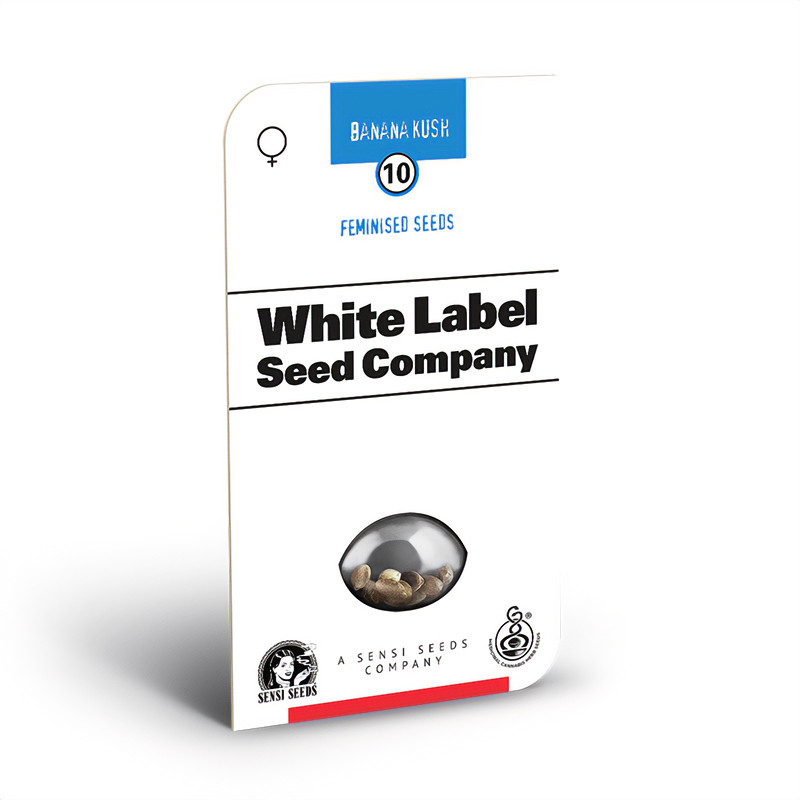 Banana Kush Strain - Sensi Seeds White Label Banana Kush Strain - Sensi Seeds White Label
