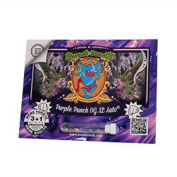 Lot de graines de Purple Punch OG XL Auto de Sweet Seeds