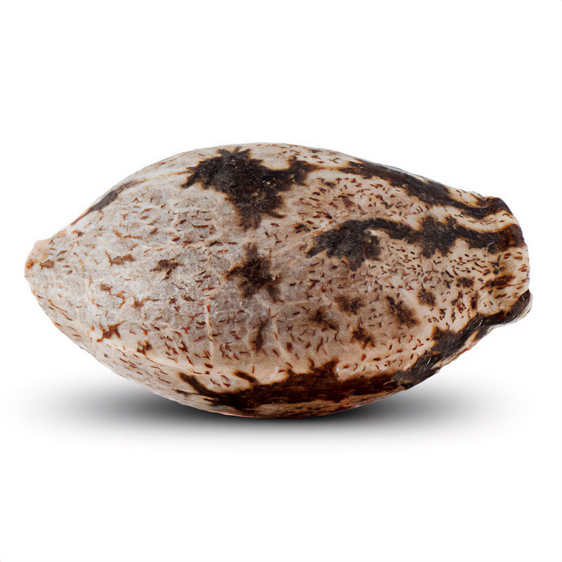 Washing Machine - Ripper Seeds Washing Machine - Ripper Seeds