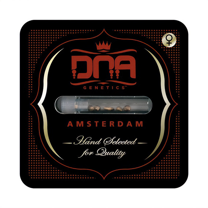 Lemon OG Kush Strain - DNA Genetics Lemon OG Kush Strain - DNA Genetics