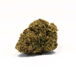 Fleurs de Gorilla Glue CBD