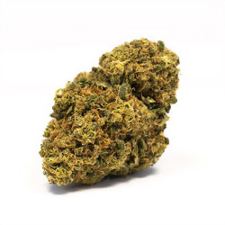 Fleurs de OG-Kush CBD