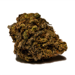 Fleurs de Black Cherry Cake CBD