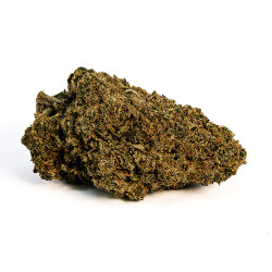 Fleurs de Tutti Frutti CBD