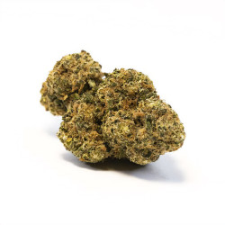 Fleurs de Sweet Candy CBD