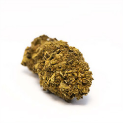 Fleurs de Super Lemon Haze CBD