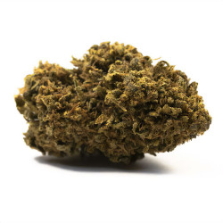 Fleurs de Melon Punch CBD