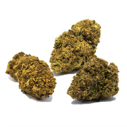 coffret decouverte contenant 3 varietes de fleurs cbd