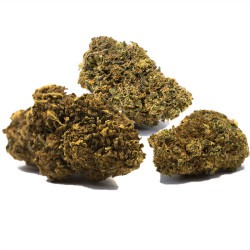 Coffret de fleurs Agrumes CBD