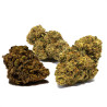 Coffret Californie