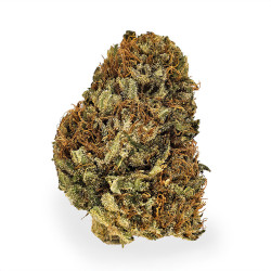Fleurs de Hawaiian Haze CBD