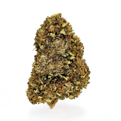 Fleurs de Punch CBD