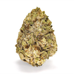 Fleurs de White Widow CBG