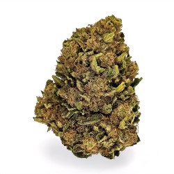 Fleurs de NorthWest CBD