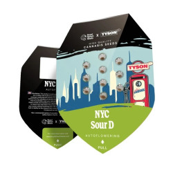 Lot de NYC Sour D Auto - Royal Queen Seeds (Tyson 2.0)