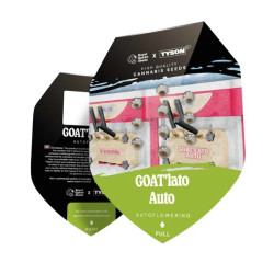 Graines de GOAT'lato Auto - Royal Queen Seeds (Tyson 2.0)