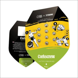Graines de Corkscrew Auto Royal Queen Seeds (Tyson 2.0)