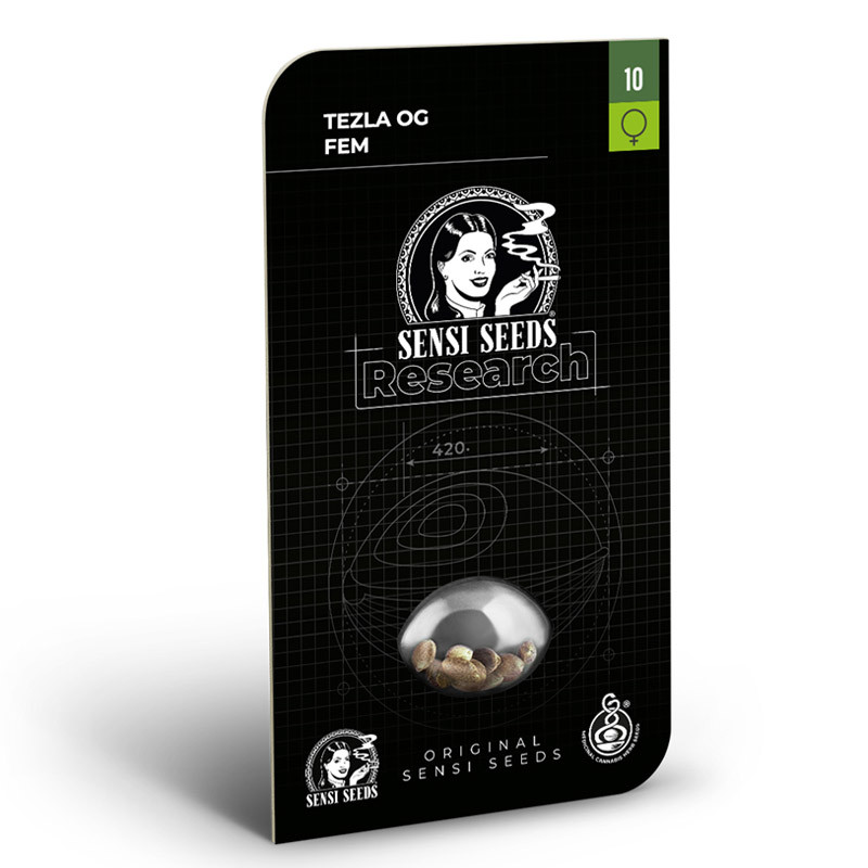 Tezla OG Strain - Sensi Seeds Tezla OG Strain - Sensi Seeds