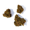 Fleurs de Purple CBD