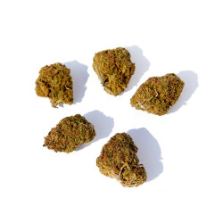 Fleurs de CBD Gelato