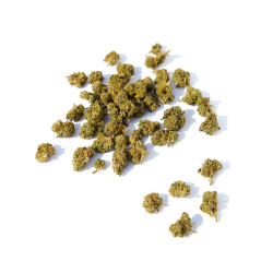 Fleurs de Master Kush CBD