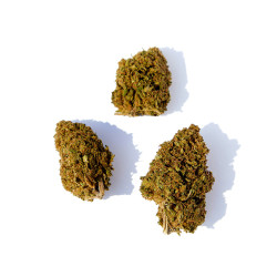 Fleurs de Critical CBD