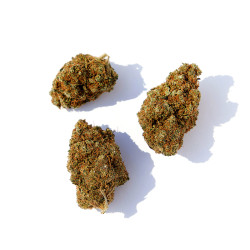 Fleurs de Zkittlez CBD