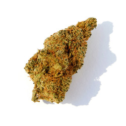 Fleurs CBD Orange Bud