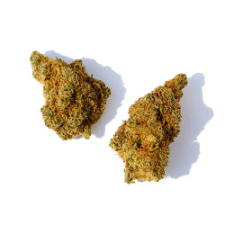 Fleurs de Orange-Bud CBD