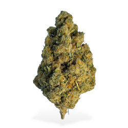 Fleurs de Amnesia Haze CBD