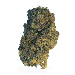 Fleur de Critical CBD