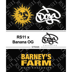 copy of Amnesia Lemon - Barney's Farm